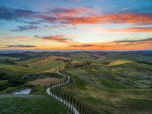 Tuscany fields