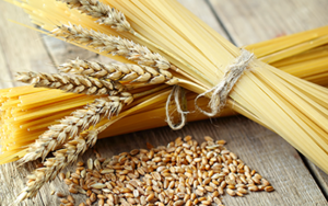 Link durum wheat and pasta